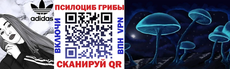 Галлюциногенные грибы Cubensis ОМГ ОМГ рабочий сайт Горно-Алтайск